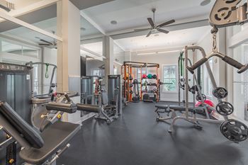 Free weights
